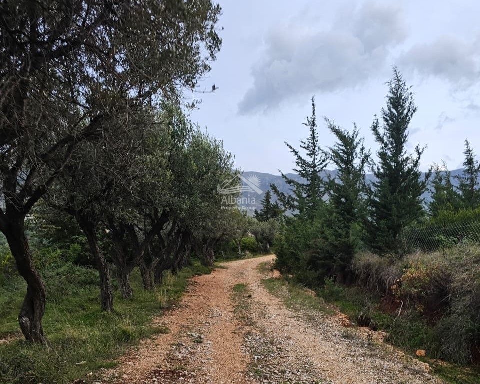 5 Sea View Property For Sale In Vlore, Radhime